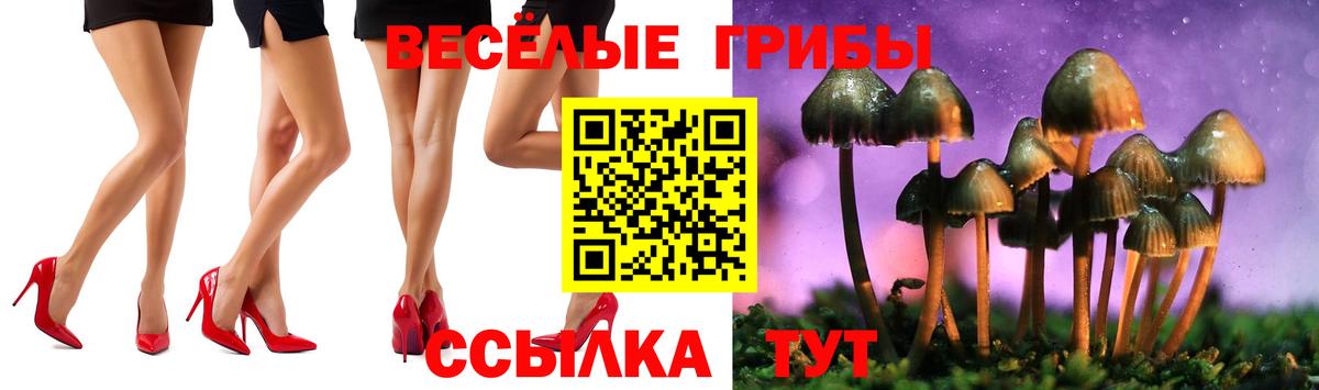 где купить наркотик  Псилоцибиновые грибы ЛСД  Вход с VPN  Псилоцибиновые грибы мицелий  Якутск 